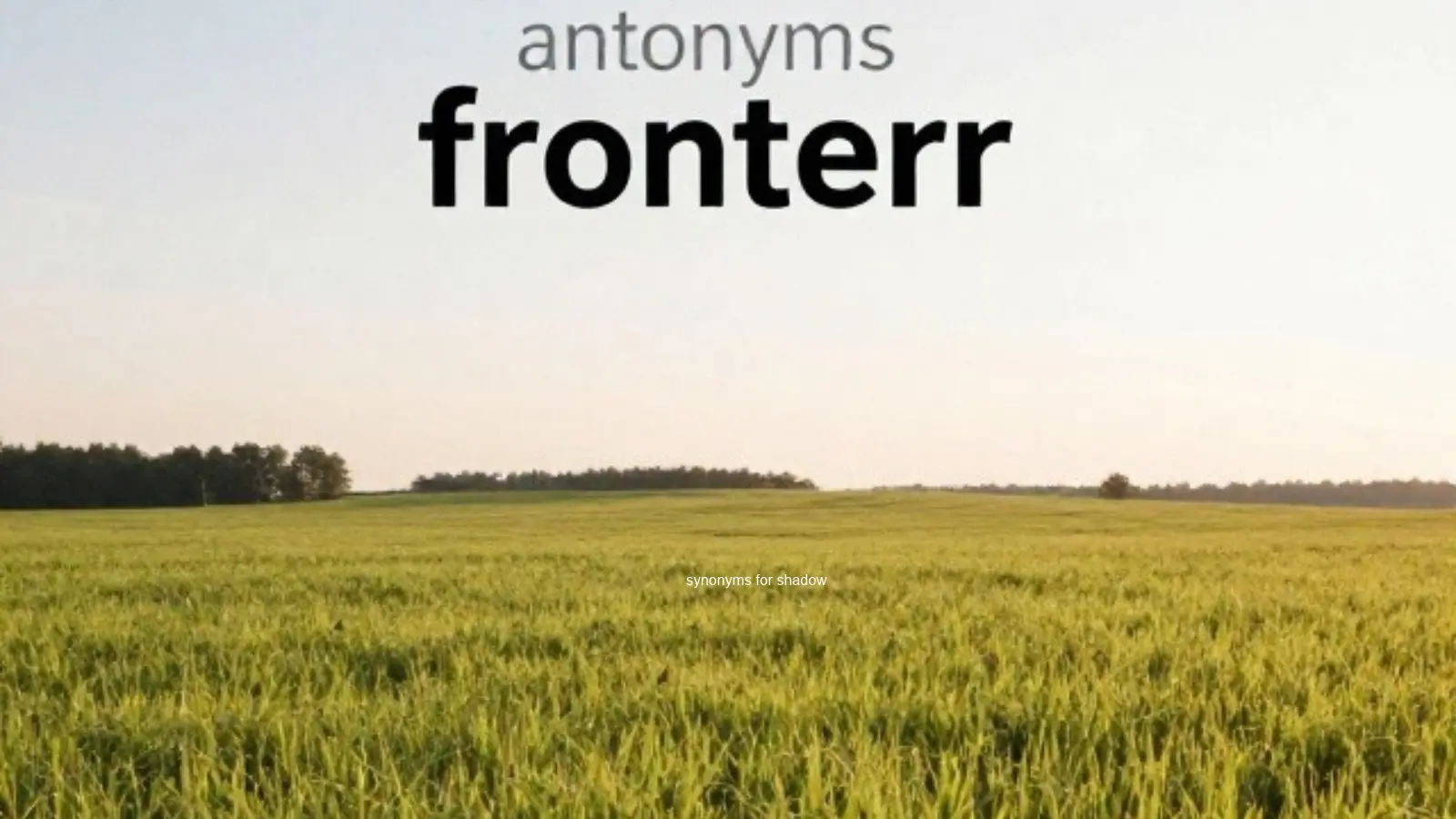 antonyms for frontier